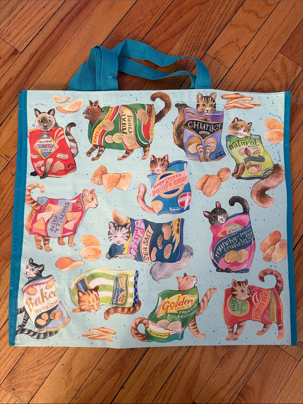 Marshalls TJ Maxx Reusable Blue Cat Print Tote Bag with Snack Design
